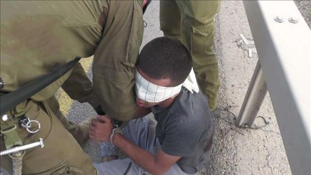 רובי המרשלג/ הסיכול בצפון