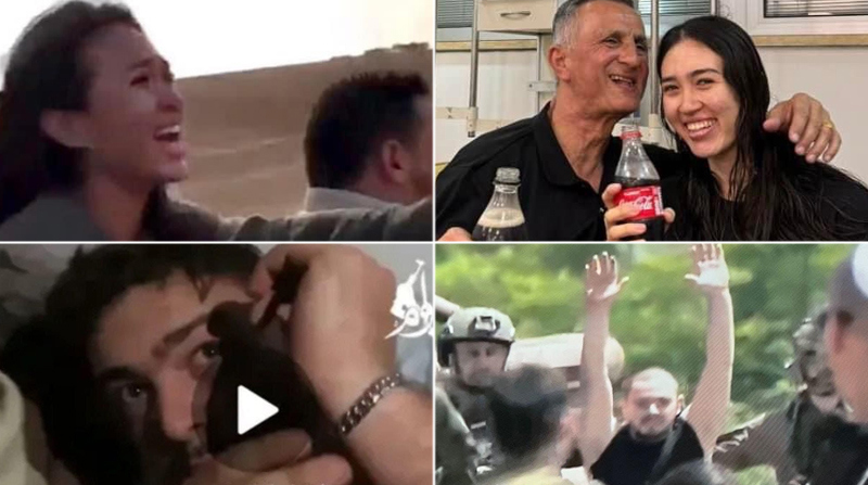 נועה ארגמני, אלמוג מאיר