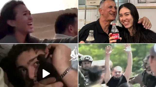 נועה ארגמני, אלמוג מאיר