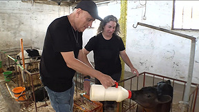  שוקת שבורה