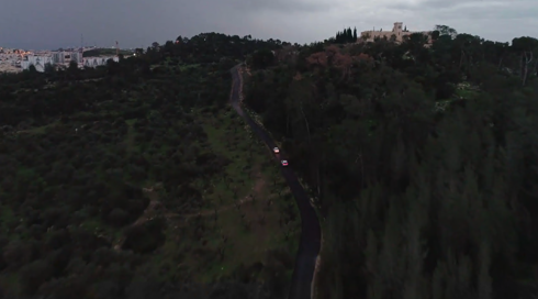 יער שחור הצצה
