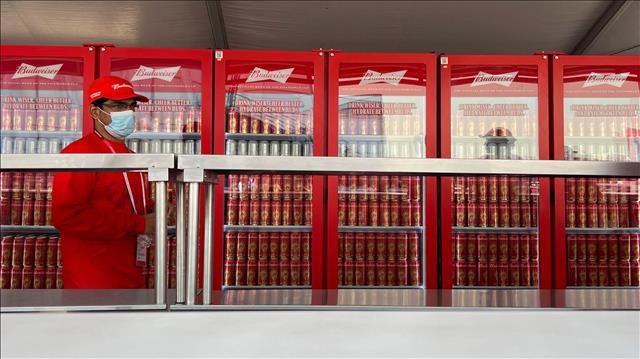 בירה באדוויזר קטאר מונדיאל qatar, beer