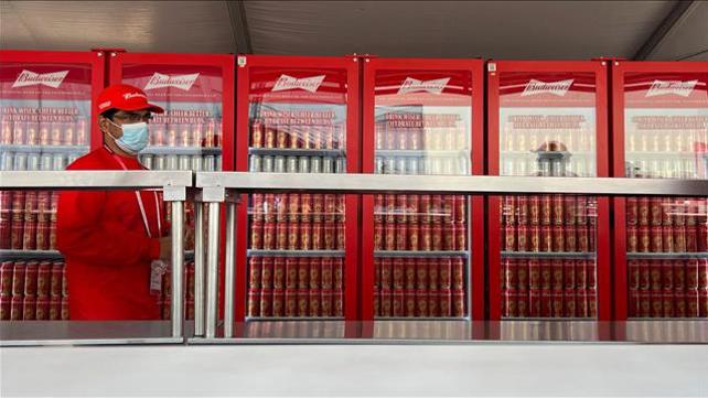 בירה באדוויזר קטאר מונדיאל qatar, beer