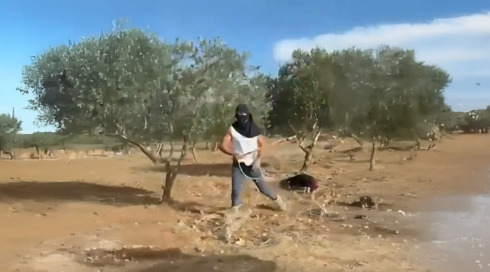 תיעוד: תרגיל ההונאה של צעירים מהמאחזים נגד כוחות הביטחון
