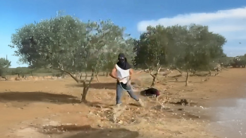 תיעוד: תרגיל ההונאה של צעירים מהמאחזים נגד כוחות הביטחון