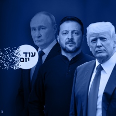 הוויתור ריבועי כחול
