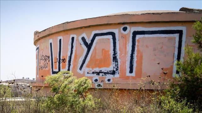 צילום: הלל מאייר, פלאש 90
