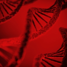 DNA
