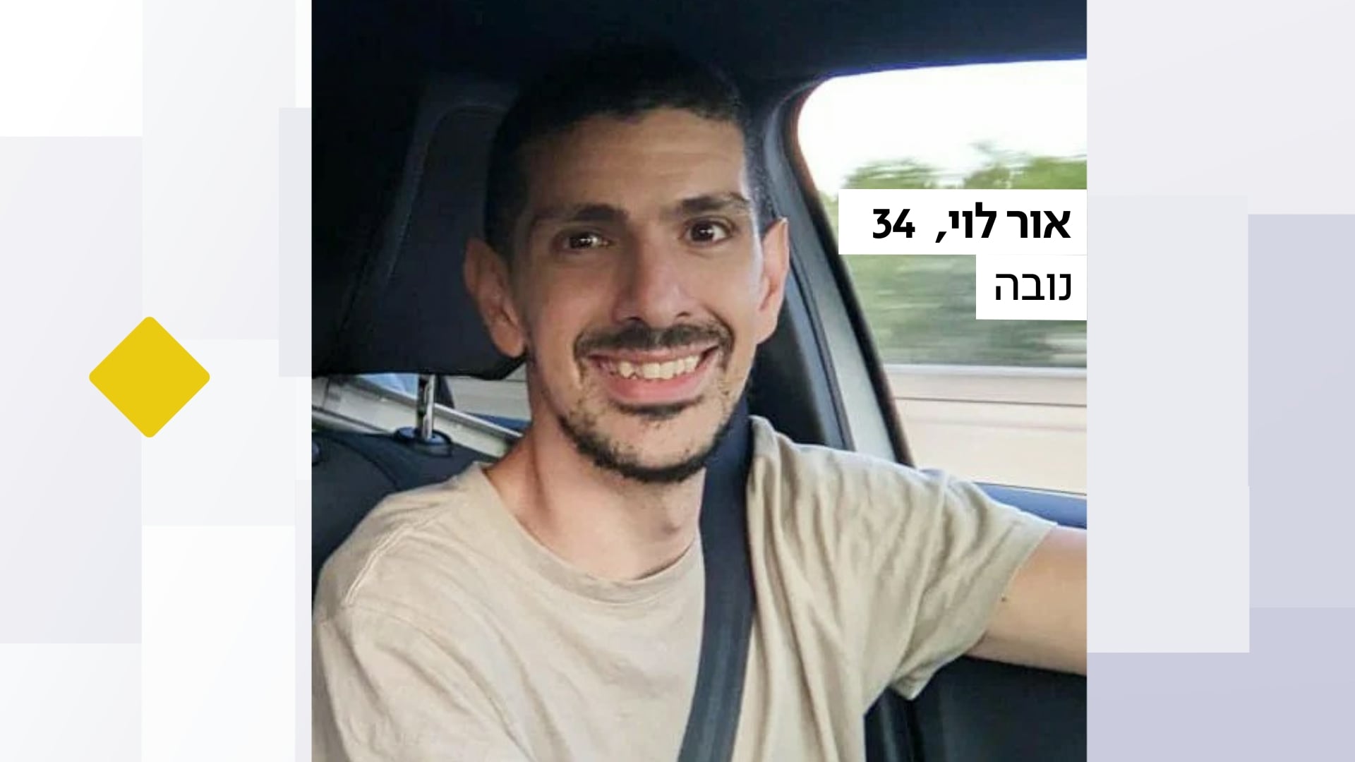 אור לוי