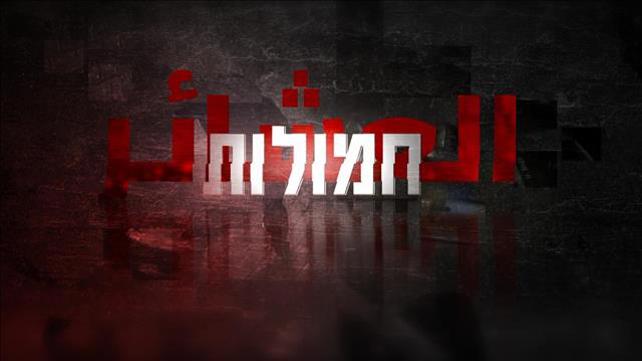 חמולות - ריאד עלי