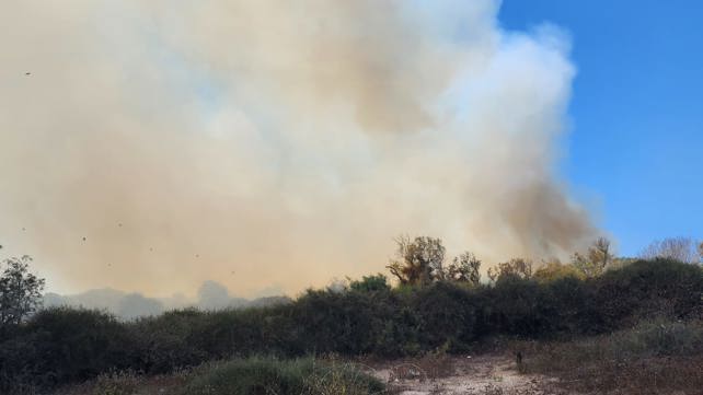 שריפה במפעלי תעש הרצליה, 28.07.23