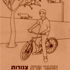 כריכת הספר צנורות