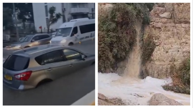 תיעודים חורפיים 31.12.24