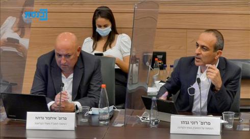 גמזו בדיון בכנסת: "המתקפות נגדי מאורגנות ולא נעימות - זה נועד להחליש אותי"