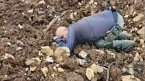 נפילה במטע דובדבנים במירון