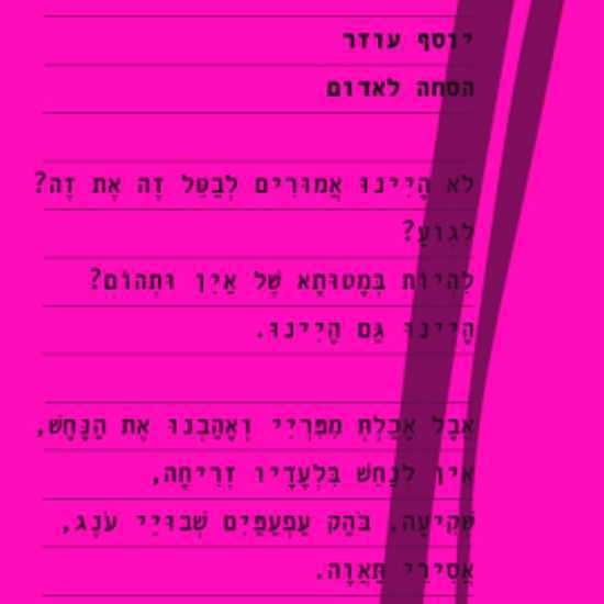 "הסחה לאדום": ספר מפתיע של יוסף עוזר