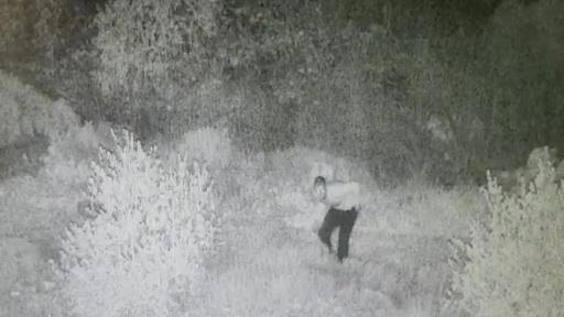 תיעוד מחבל קדומים