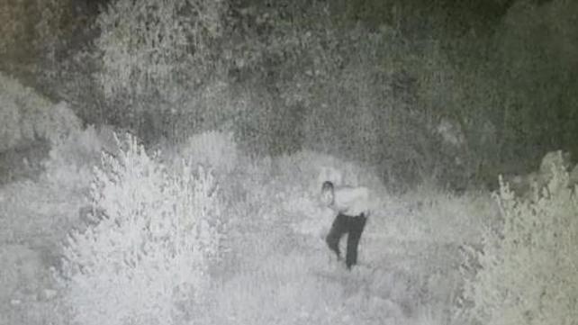 תיעוד מחבל קדומים