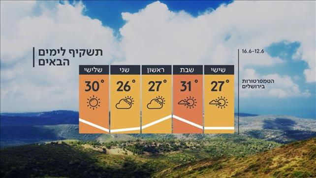 תחזית