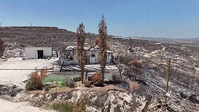 "ראית דבר כזה ב-7 באוקטובר בקיבוצים": חוות גלעד אחרי הפיגוע והשריפה