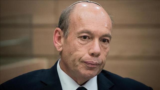 מתניהו אנגלמן, מבקר המדינה