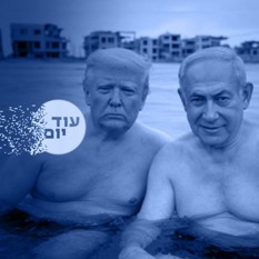 פייק ניוז ריבועי 010425