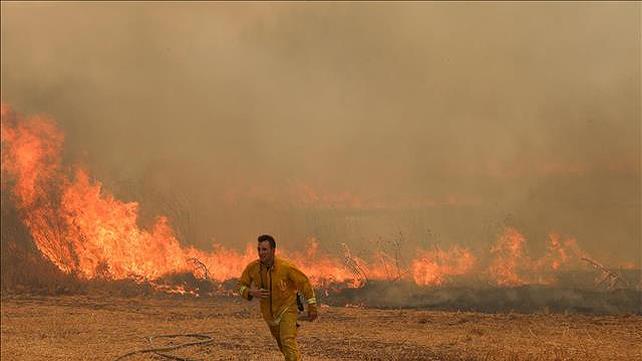 שריפת היער והחורש סמוך למושב אדרת