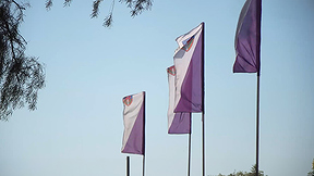 Mishehalamgivati
