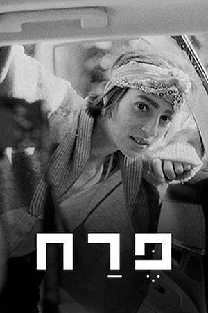 פרח