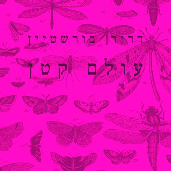 ביקור ספרותי בעולם הקטן של החרקים