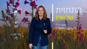 תחזית | 31.01.25
