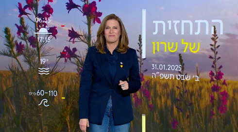 תחזית | 31.01.25