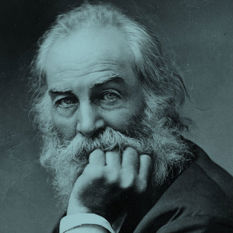 cat18947_img564427728.jpg