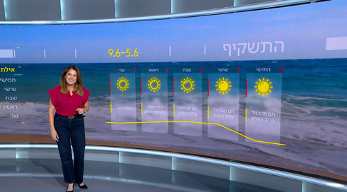 התחזית (31)