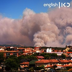 forest fire