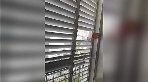 שכן שבר תריס בדירה של זוג הומואים: "לא סובל גייז"