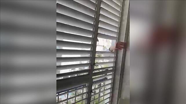 שכן שבר תריס בדירה של זוג הומואים בתל אביב 17.04.23