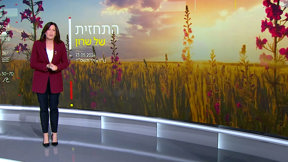 S0454746_ITEM09