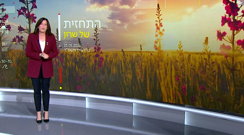 התחזית | 23.05.2024