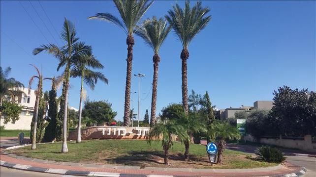 תל מונד