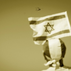 נילי 500
