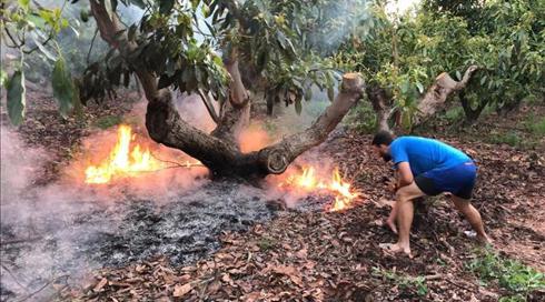 בעקבות הפרחת בלוני התבערה: הופסקה העברת הדלקים לתחנת הכוח בעזה