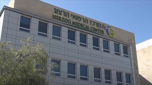 בית החולים הרצוג