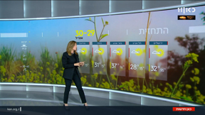 התחזית 29.04.25