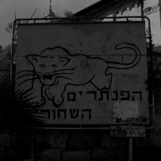 הפנתרים השחורים