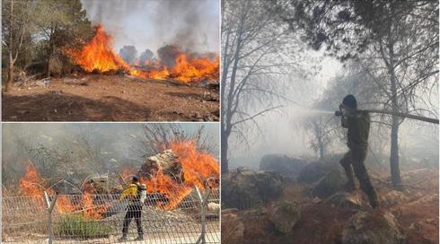 נציב כבאות והצלה: חלק מהשריפות - נגרמו מגורם אנושי