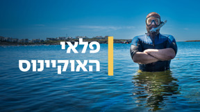 פלאי האוקיינוס
