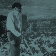 א"ד גורדון