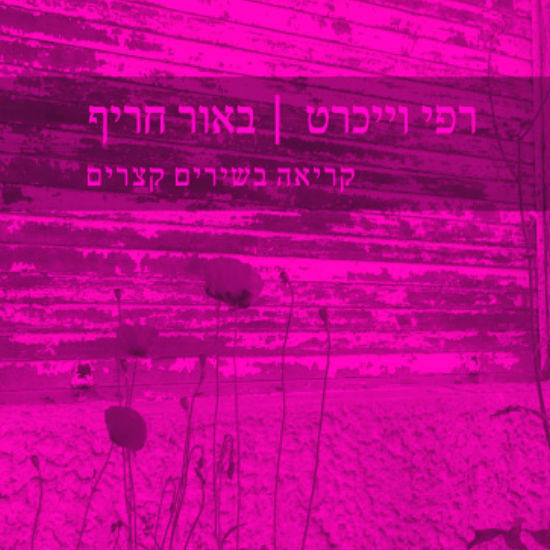 הרהורים על שירה קצרצרה