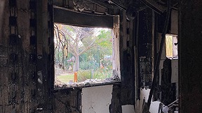 שרון ליפשיץ, נוף קקטוסים מחדר האורחים 2023-2024